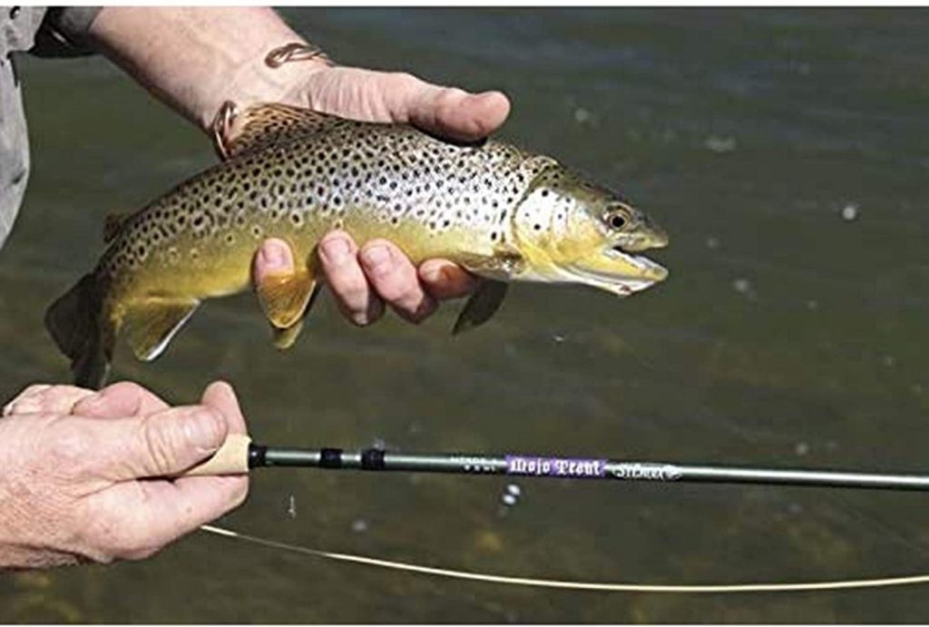 St. Croix Rods Mojo Trout Fly Fishing Rod photo review